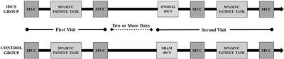 Halo Sport Transcranial Direct Current Stimulation Improved Muscular Endurance Performance and Neuromuscular Efficiency During an Isometric Submaximal Fatiguing Elbow Flexion Task